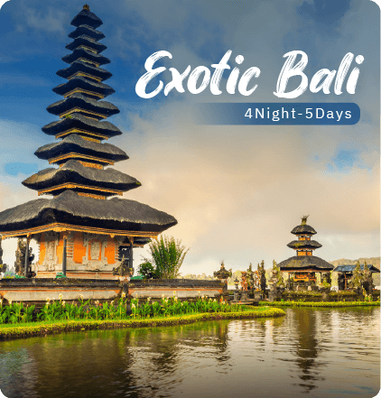 Bali Tour Packages From Pune