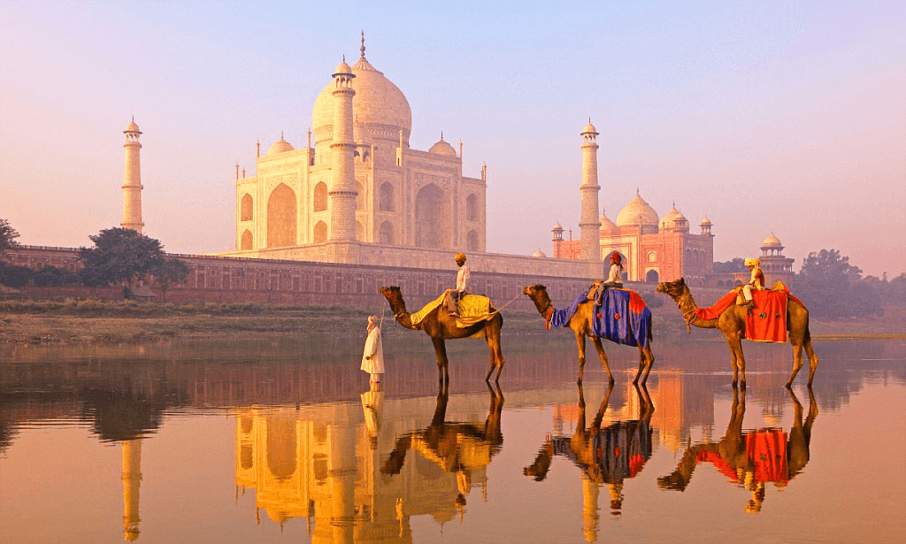 India`s Golden Triangle Road Trip | Travolex
