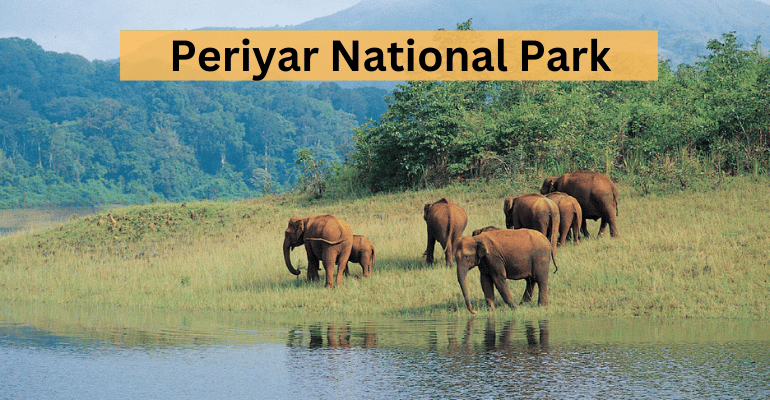 Best National Parks In India | Travolex